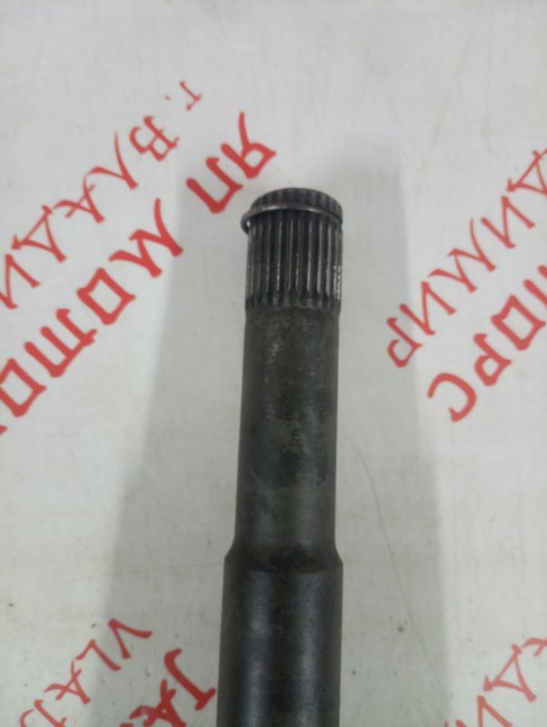 Привод, 5000 рублей, Владимир