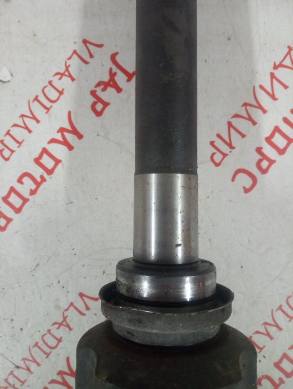 Привод, 5000 рублей, Владимир