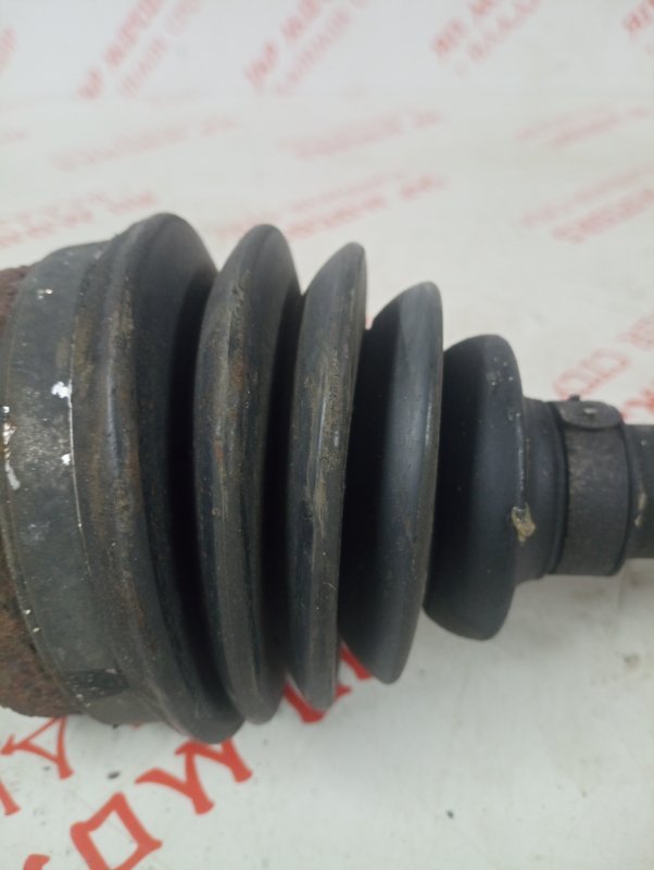 Привод, 10000 рублей, Владимир