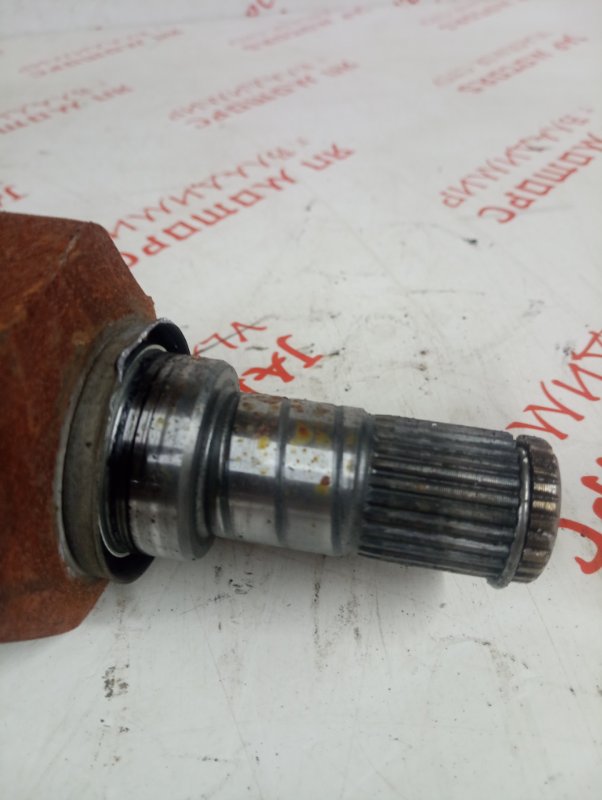 Привод, 10000 рублей, Владимир