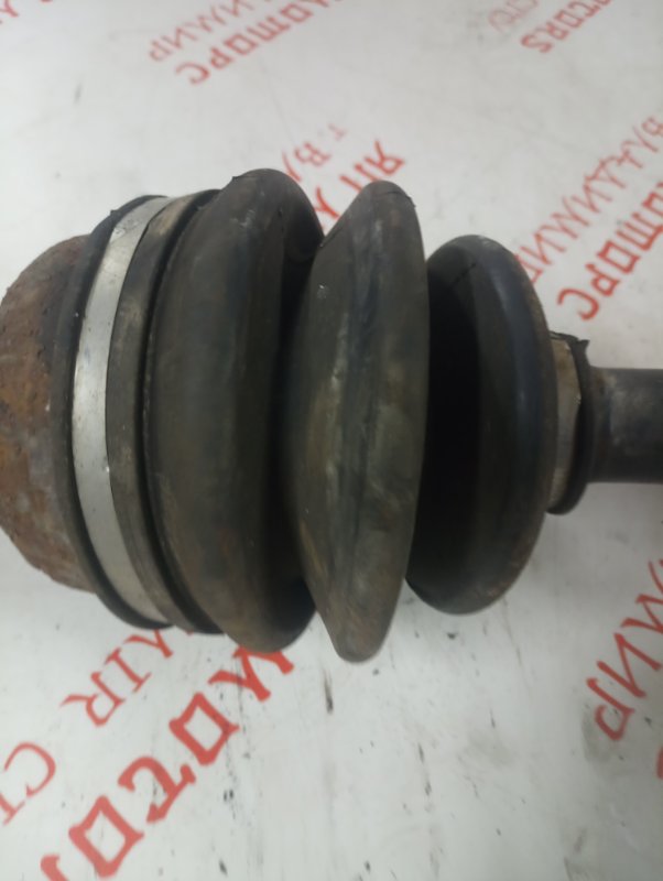 Привод, 11000 рублей, Владимир