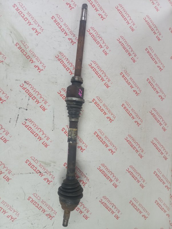 Привод, 4500 рублей, Владимир