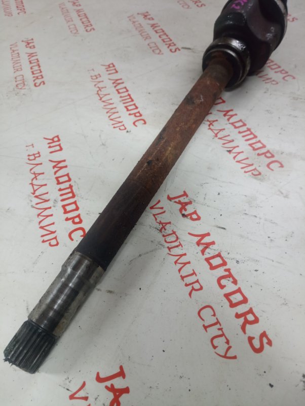 Привод, 4500 рублей, Владимир