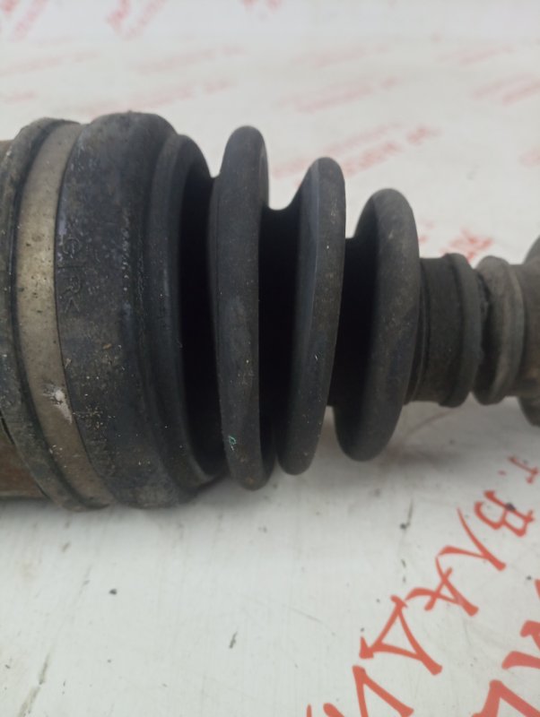 Привод, 8000 рублей, Владимир