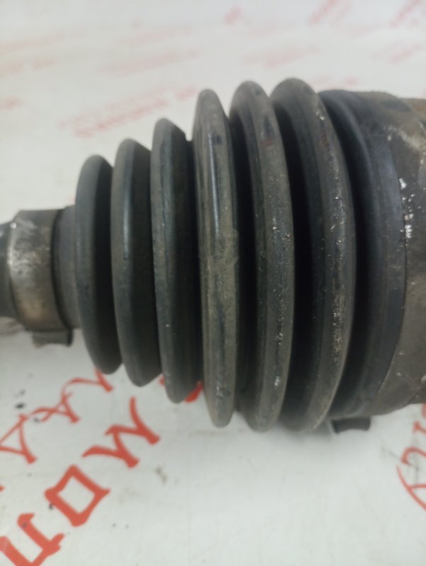 Привод, 8000 рублей, Владимир