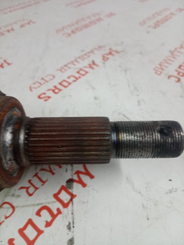 Привод, 8000 рублей, Владимир