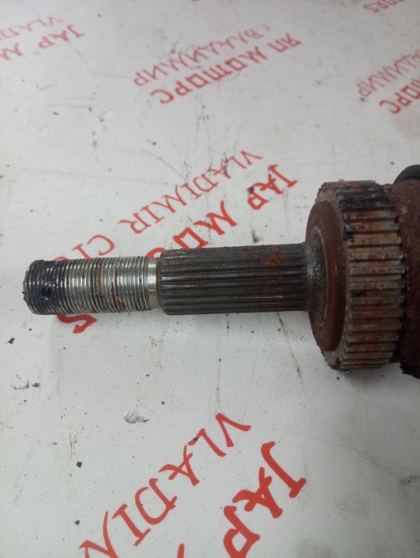 Привод, 3000 рублей, Владимир