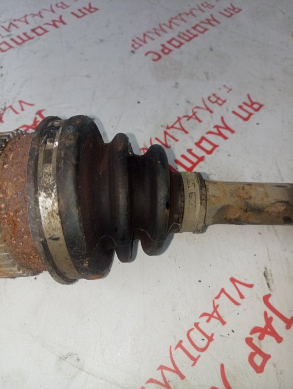 Привод, 3000 рублей, Владимир