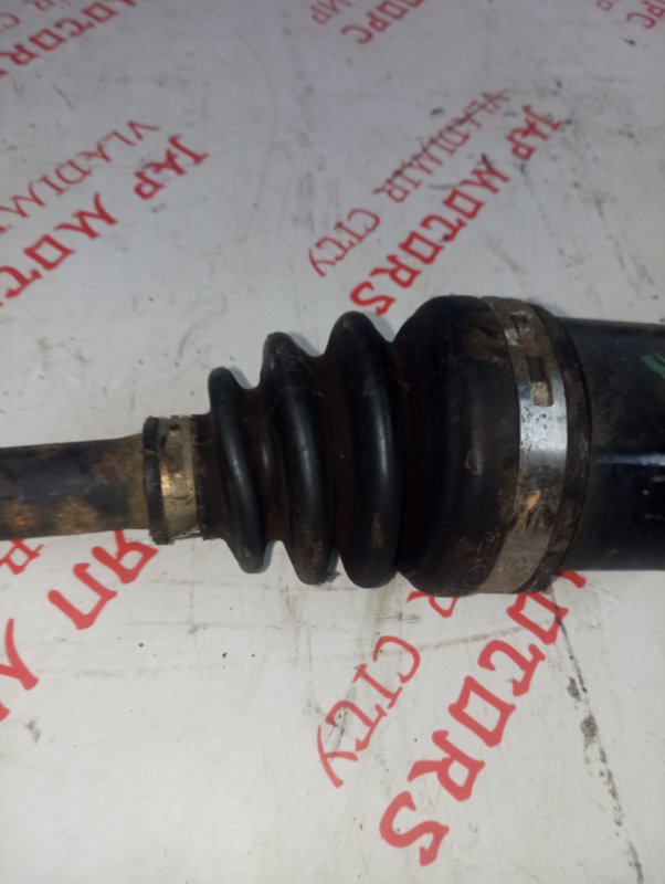 Привод, 3000 рублей, Владимир