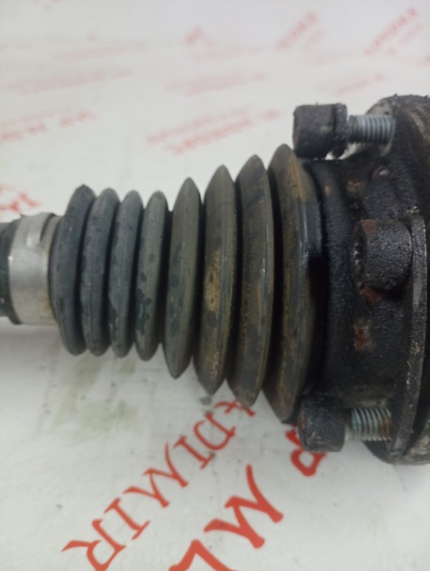 Привод, 4000 рублей, Владимир