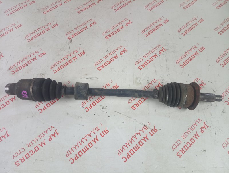 Привод, 4000 рублей, Владимир