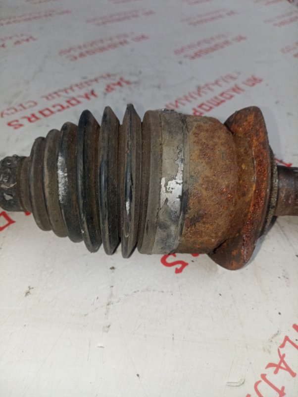 Привод, 4000 рублей, Владимир