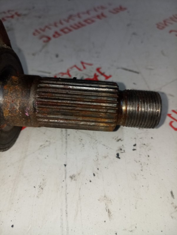 Привод, 4000 рублей, Владимир