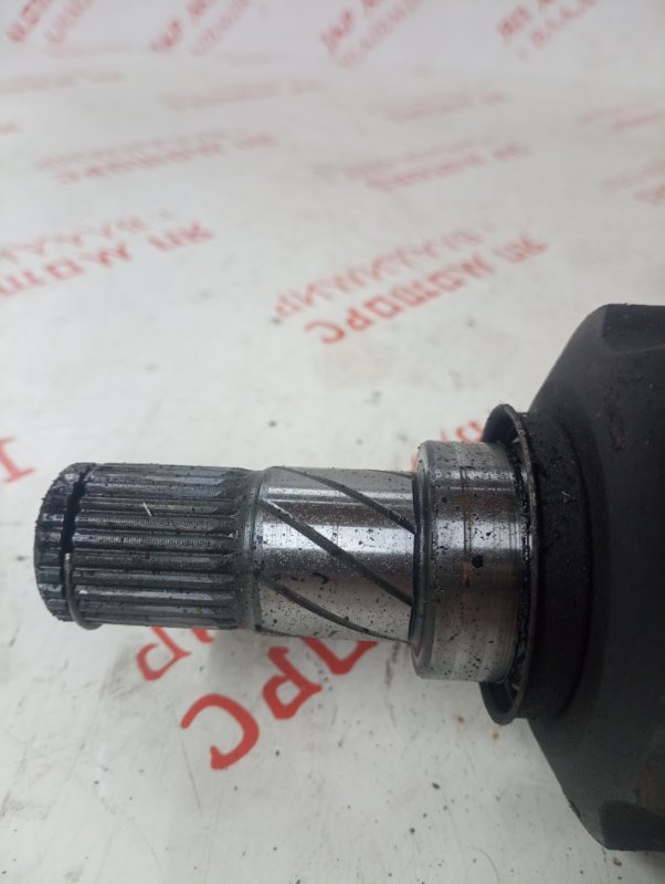 Привод, 3000 рублей, Владимир