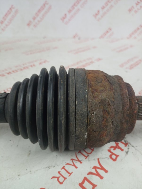 Привод, 3000 рублей, Владимир