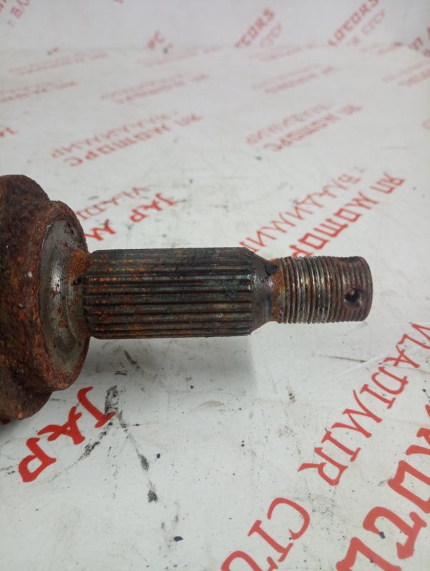 Привод, 3000 рублей, Владимир