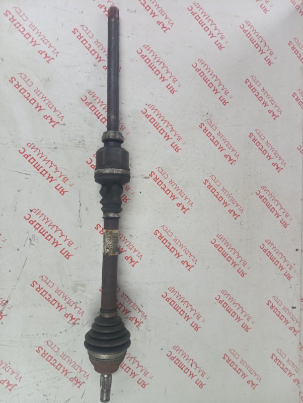 Привод, 4000 рублей, Владимир