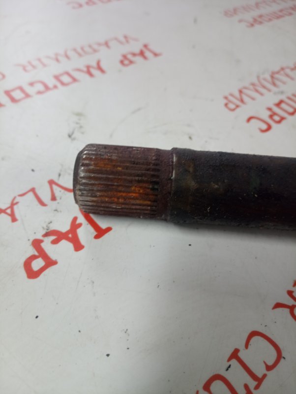 Привод, 4000 рублей, Владимир