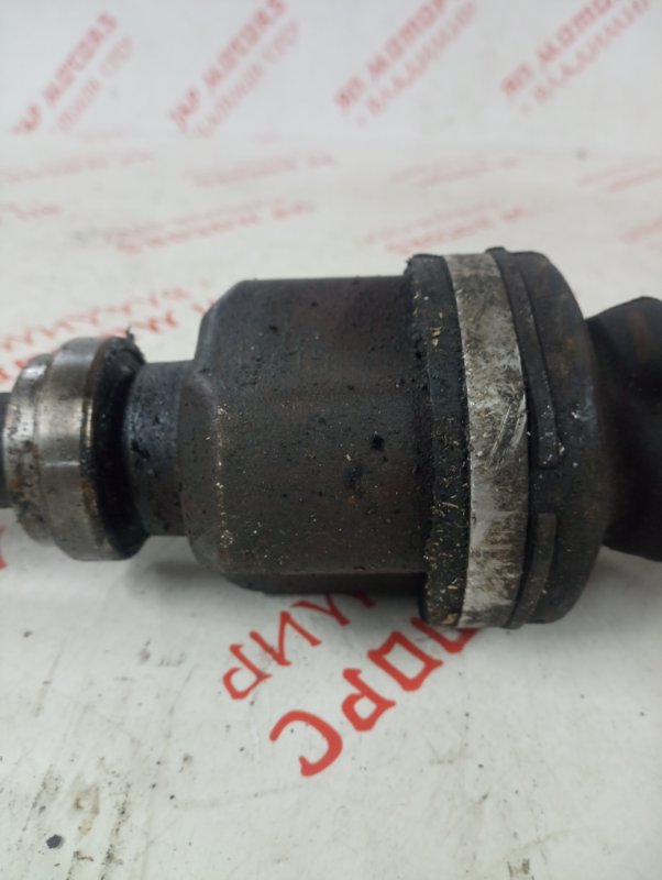 Привод, 4000 рублей, Владимир