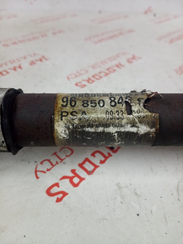 Привод, 4000 рублей, Владимир