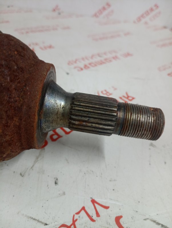 Привод, 4000 рублей, Владимир