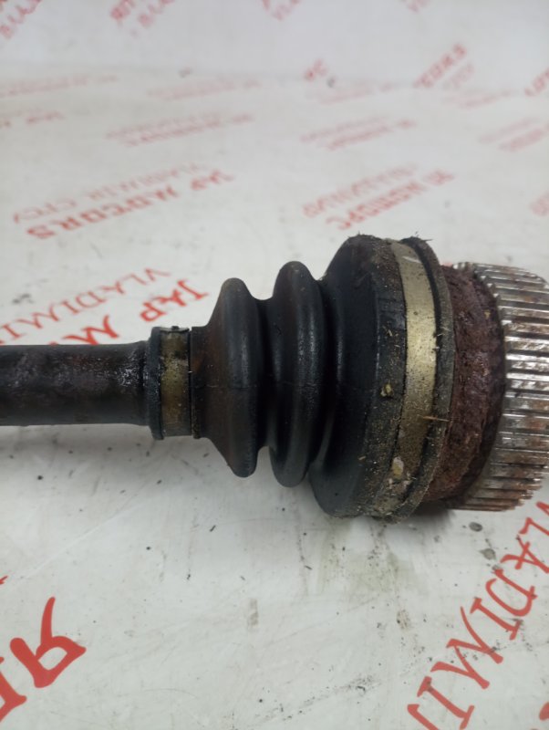 Привод, 2500 рублей, Владимир