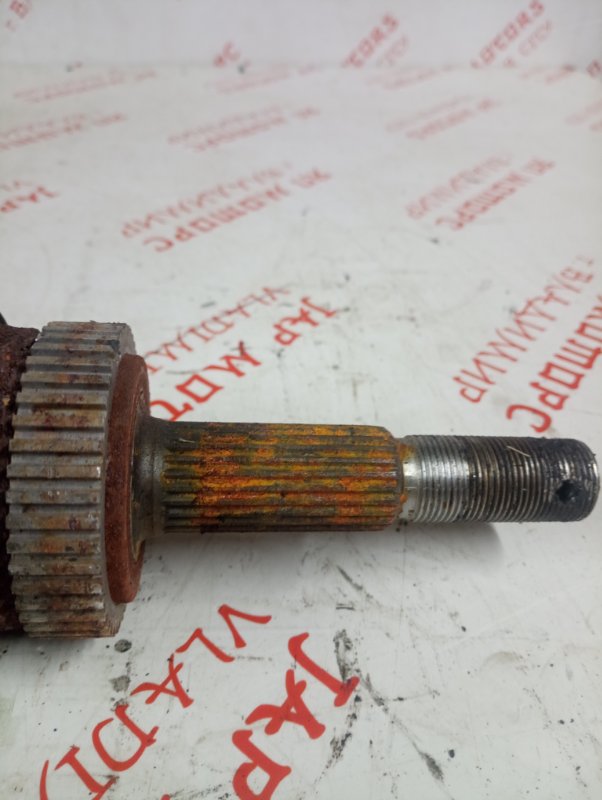 Привод, 2500 рублей, Владимир