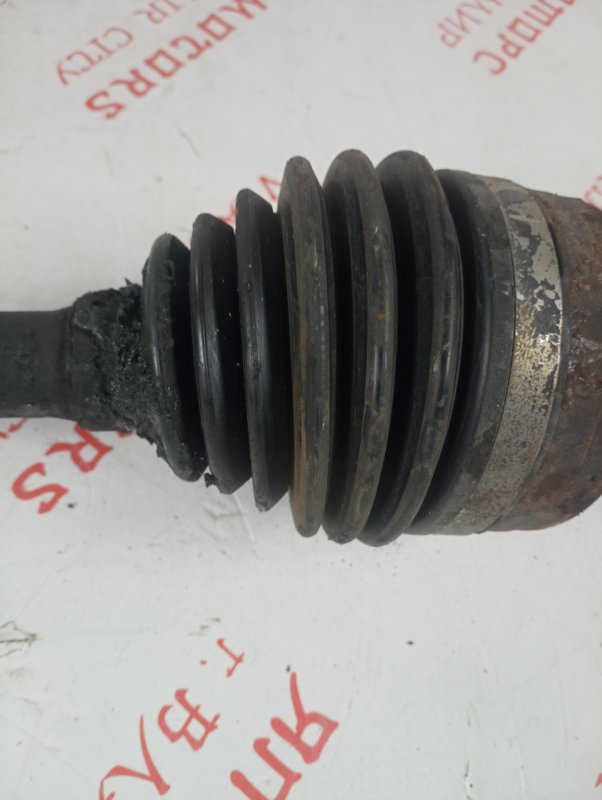 Привод, 6000 рублей, Владимир