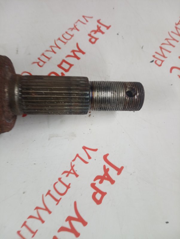 Привод, 6000 рублей, Владимир