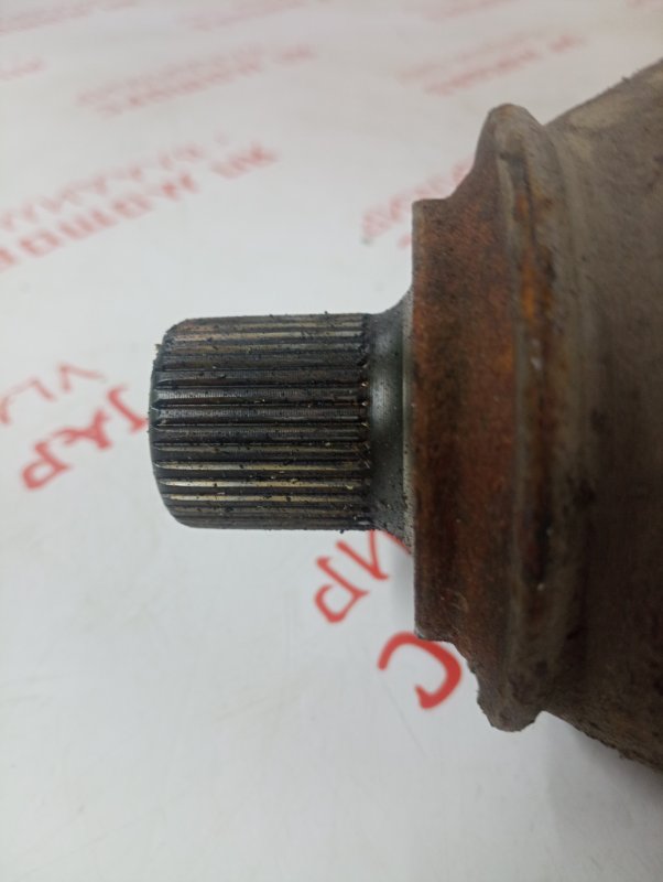 Привод, 2500 рублей, Владимир