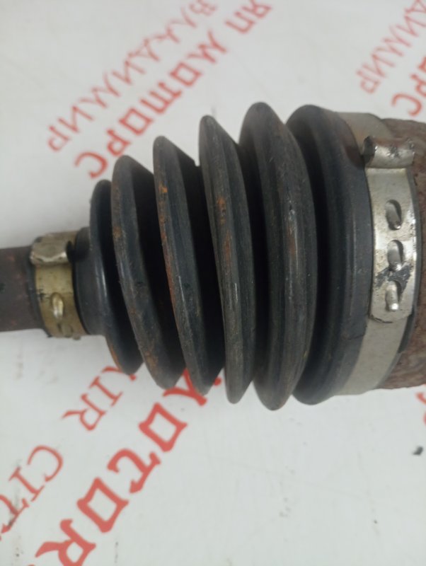 Привод, 3000 рублей, Владимир