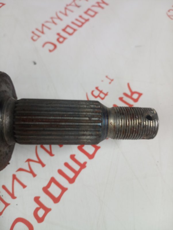 Привод, 3000 рублей, Владимир