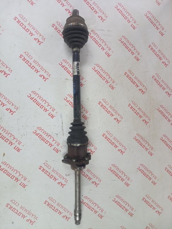 Привод, 5000 рублей, Владимир