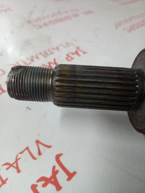 Привод, 5000 рублей, Владимир