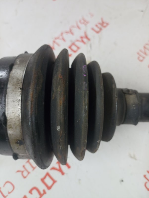 Привод, 5000 рублей, Владимир