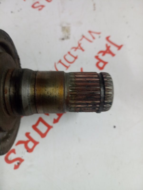 Привод, 5000 рублей, Владимир