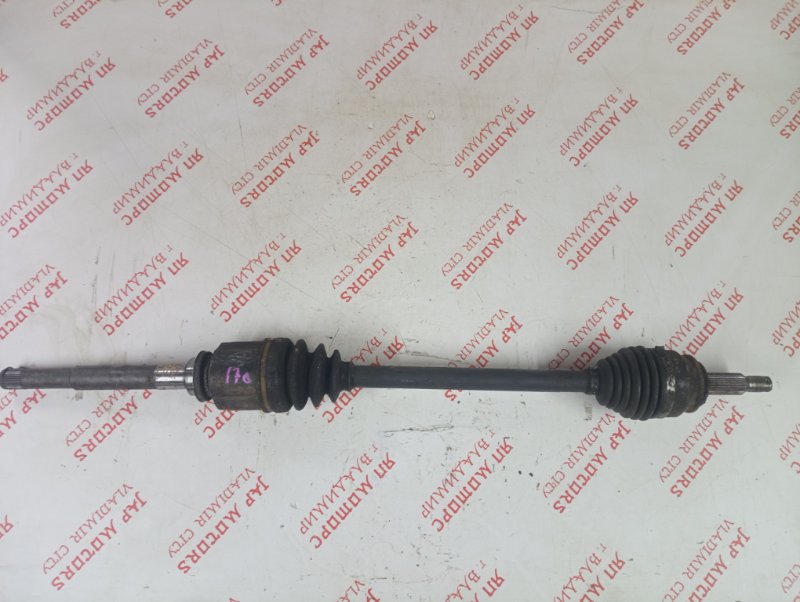 Привод, 4000 рублей, Владимир