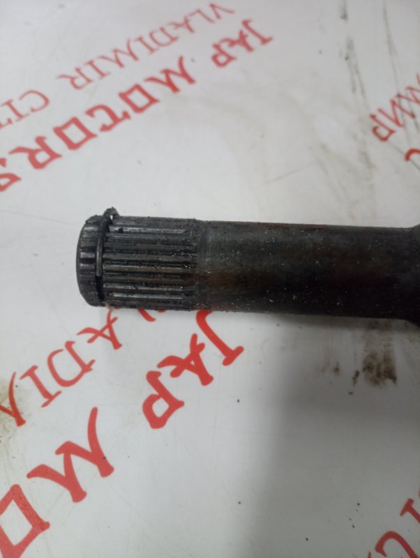 Привод, 4000 рублей, Владимир