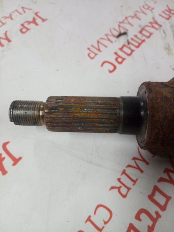 Привод, 5000 рублей, Владимир