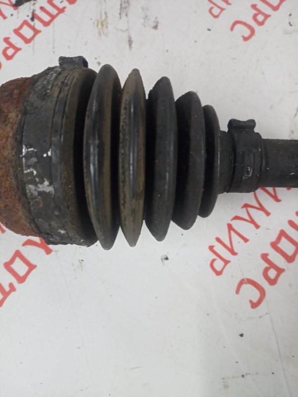 Привод, 5000 рублей, Владимир