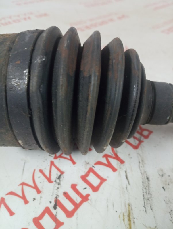 Привод, 4000 рублей, Владимир