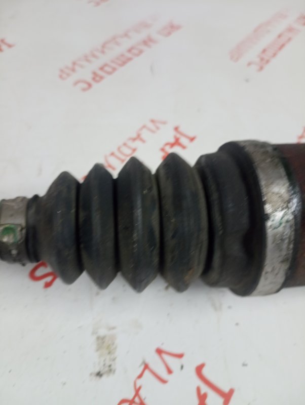 Привод, 4000 рублей, Владимир