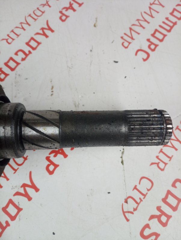 Привод, 4500 рублей, Владимир