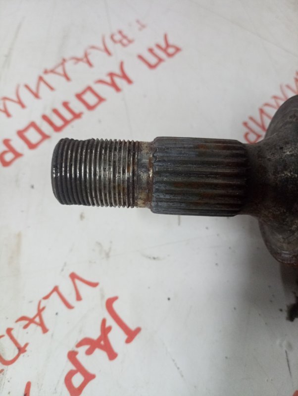 Привод, 4000 рублей, Владимир