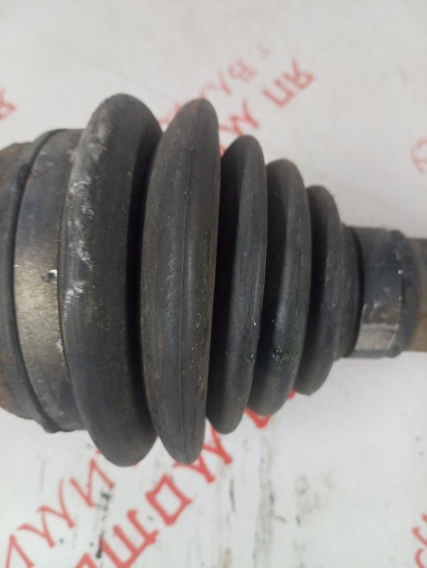 Привод, 4000 рублей, Владимир