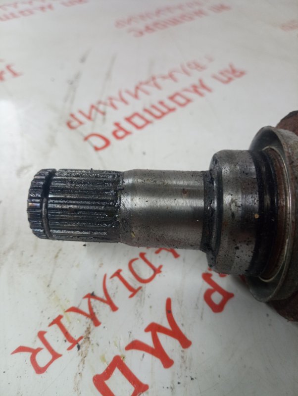 Привод, 3000 рублей, Владимир