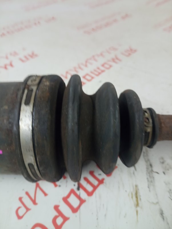 Привод, 3000 рублей, Владимир