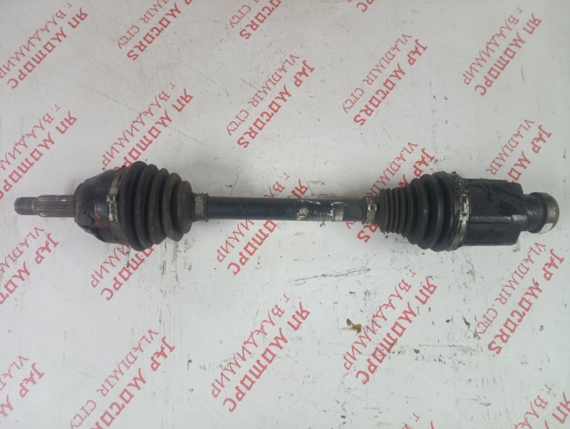 Привод, 3000 рублей, Владимир