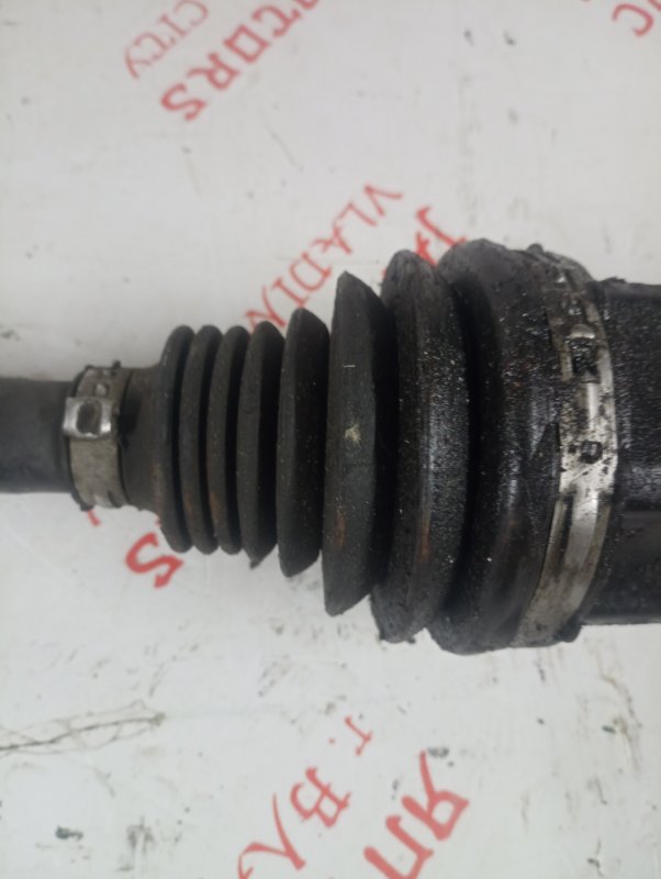 Привод, 3000 рублей, Владимир