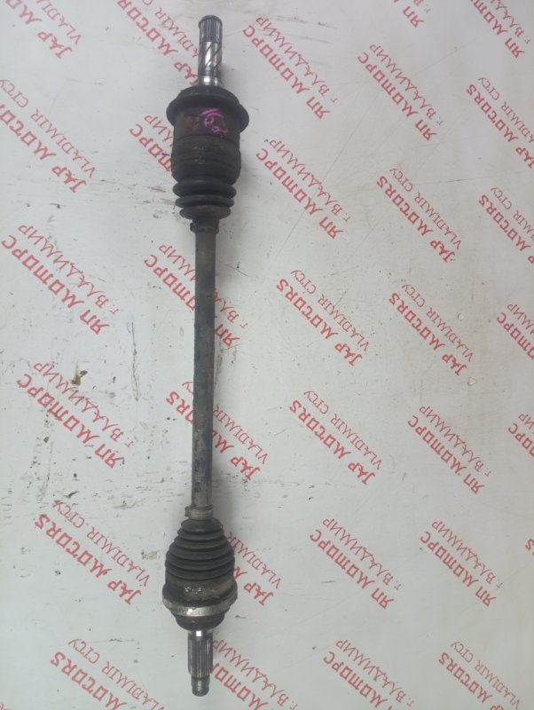 Привод, 2000 рублей, Владимир